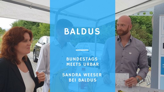 Blogbild FDP Frau Weeser